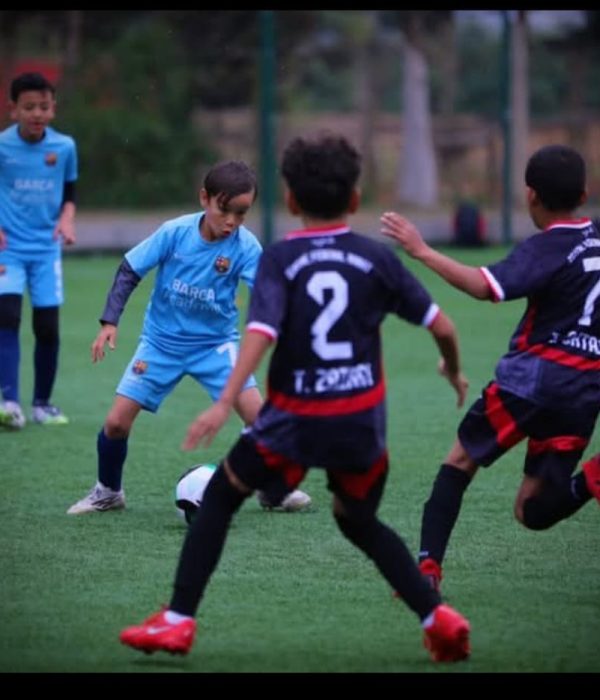 Screenshot_20251210_192451_WhatsApp